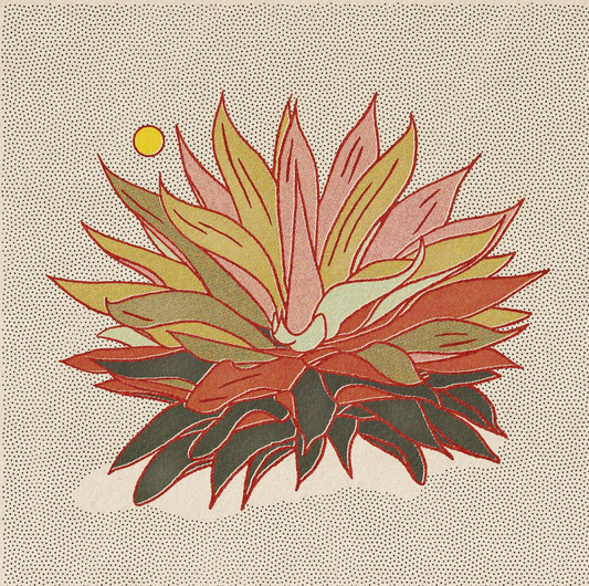 Caroline Clark - Rainbow Aloe Print