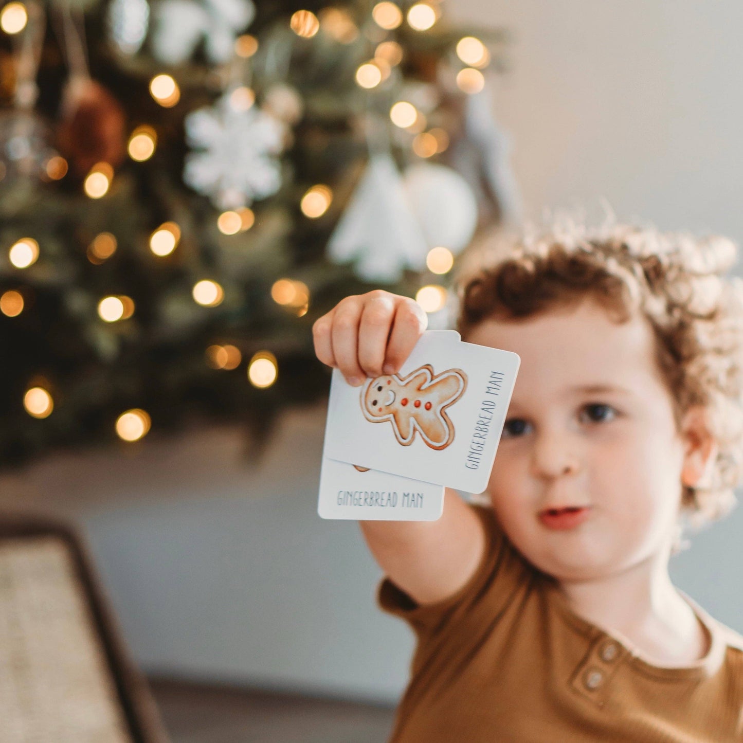 Christmas Snap & Go Fish