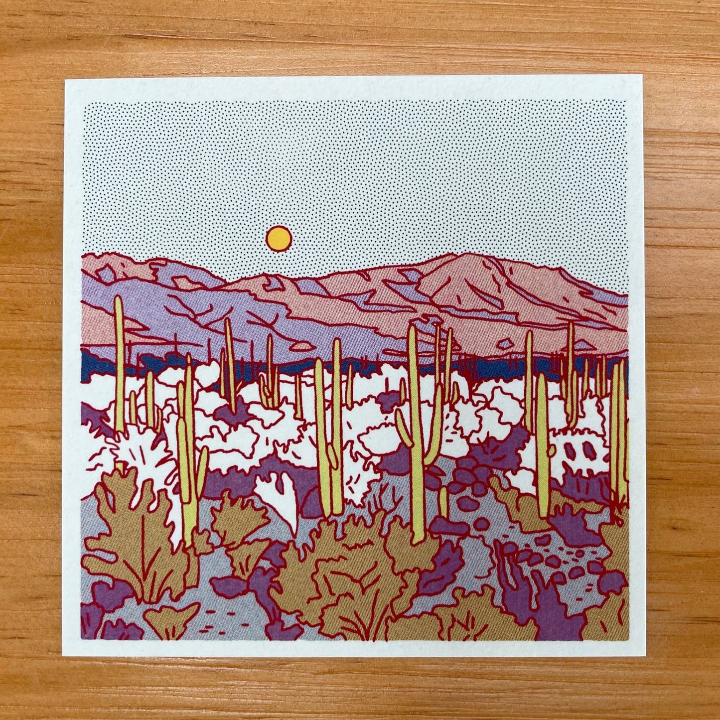 Caroline Clark Desert Postcard Set