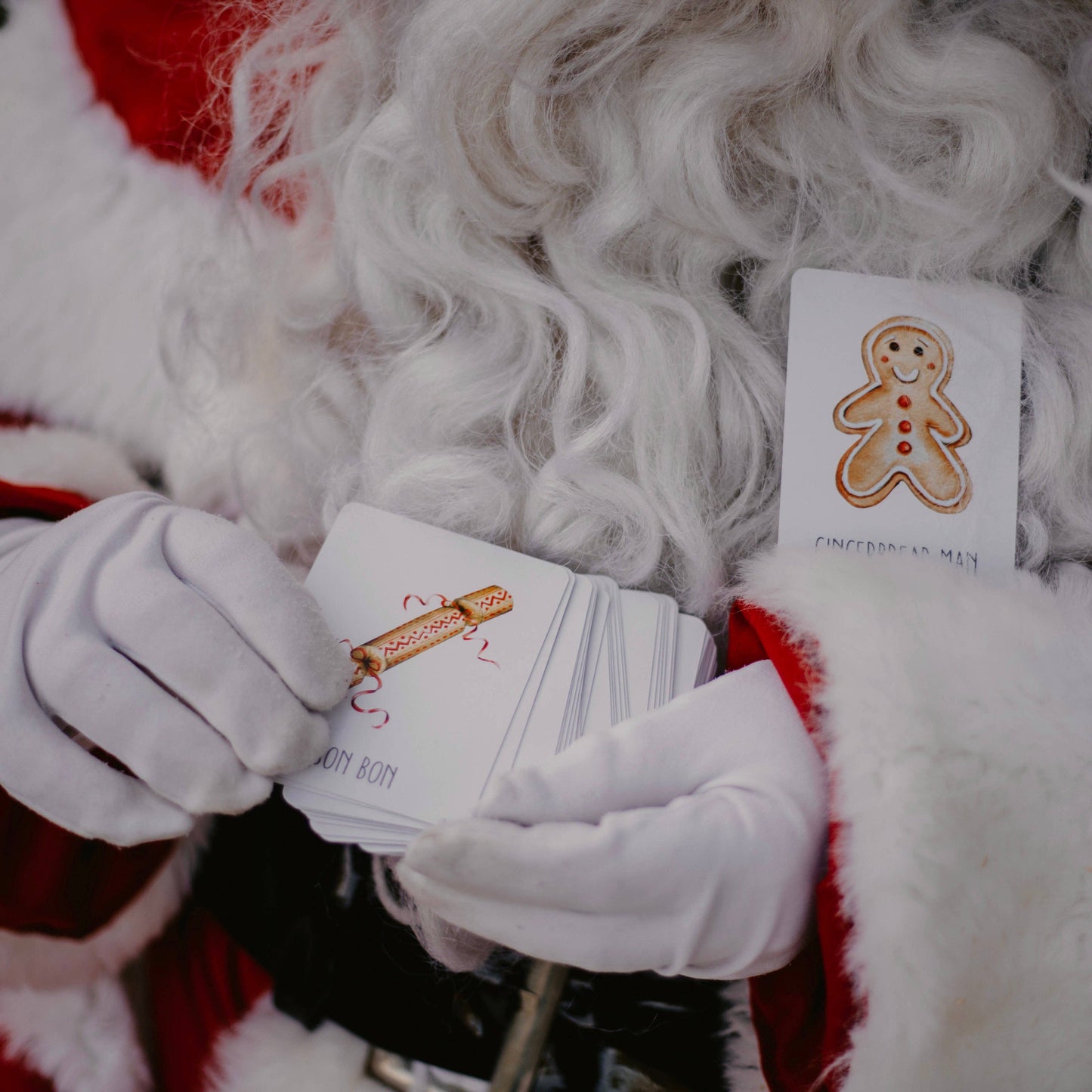 Christmas Snap & Go Fish