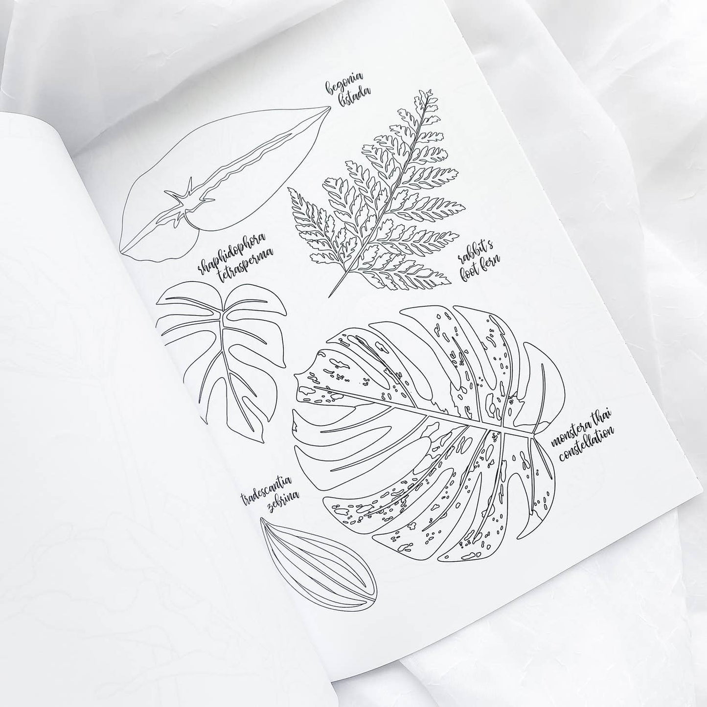 Houseplant Lover Coloring Book