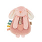 Bunny Lovey with Silicone Teether