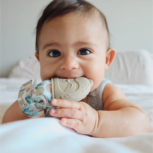 Sloth Silicone Teething Mitt