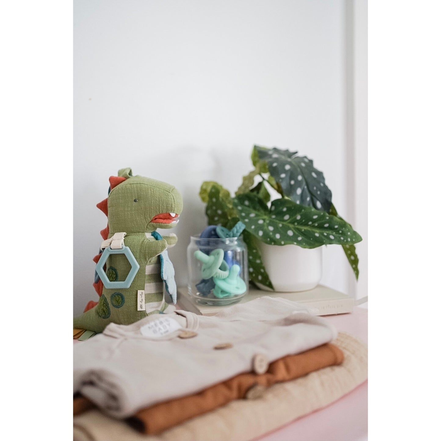 Dino Plush with Teether Toy
