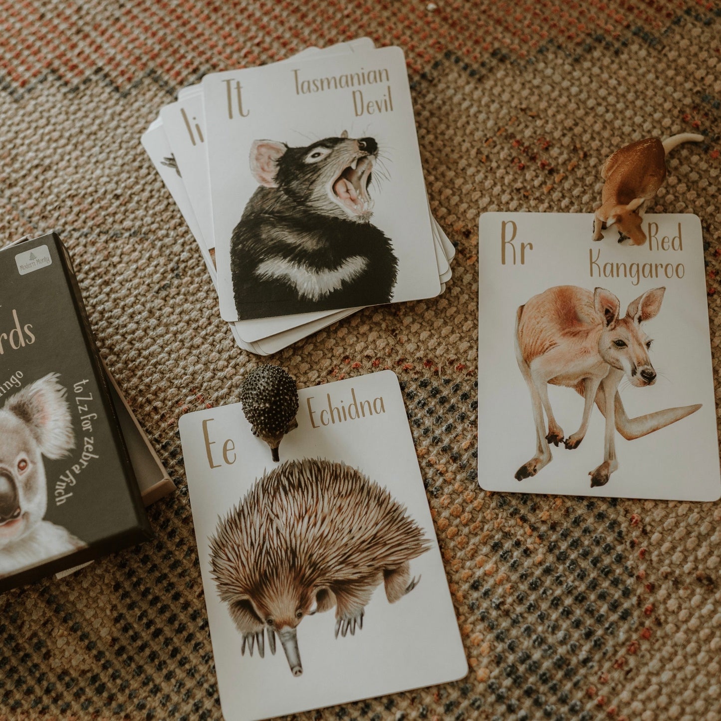 Australian Animal Alphabet Flash Cards