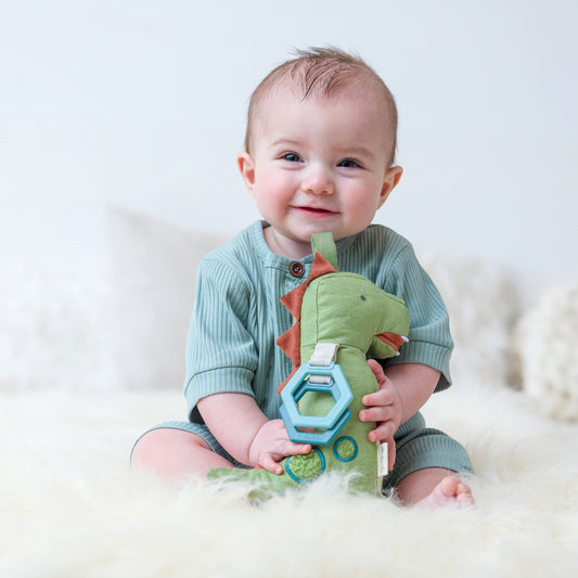 Dino Plush with Teether Toy